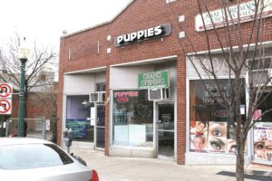 The village of Mamaroneck Board of Trustees passed Public Local Law D-2016 on Feb. 22. The law prohibits the sale of commercially bred animals in pet stores, the first of its kind in New York state. It is unclear how the law will affect National Breeders, pictured at 154 Mamaroneck Ave., since the pet store does not currently source its collections of dogs for sale from shelters. Photo/Andrew Dapolite