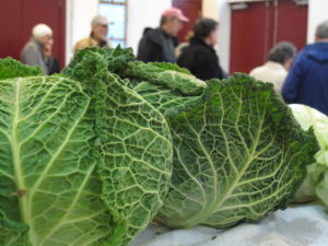 Get fresh cabbage and more at the indoor Mamaroneck market starting Jan. 2. Contributed photo